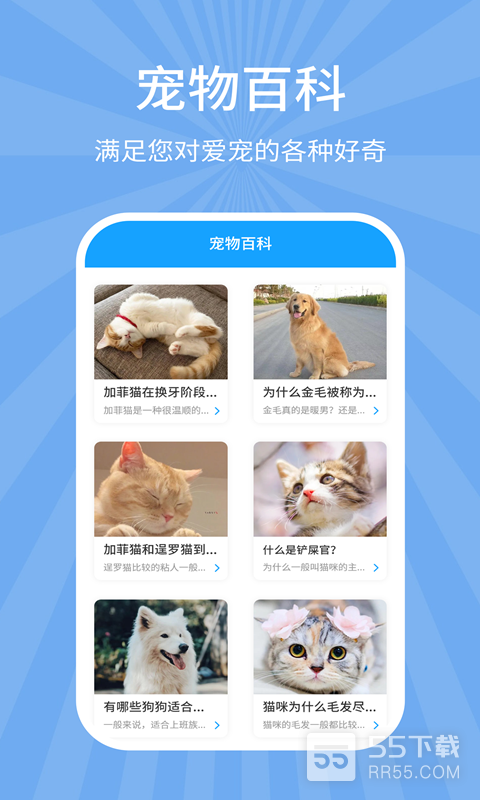 狗猫翻译器2