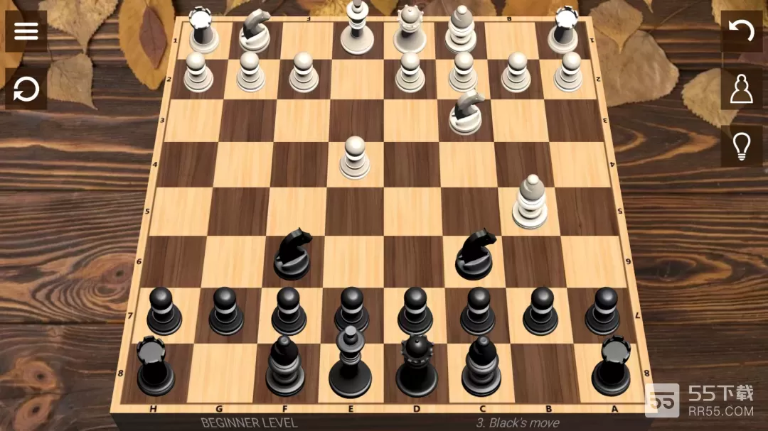 Chess4