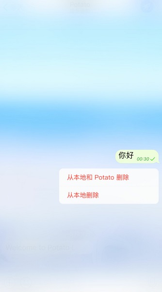 土豆聊天potato中文版4