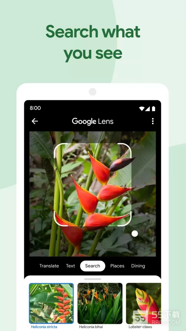 Google Photos2