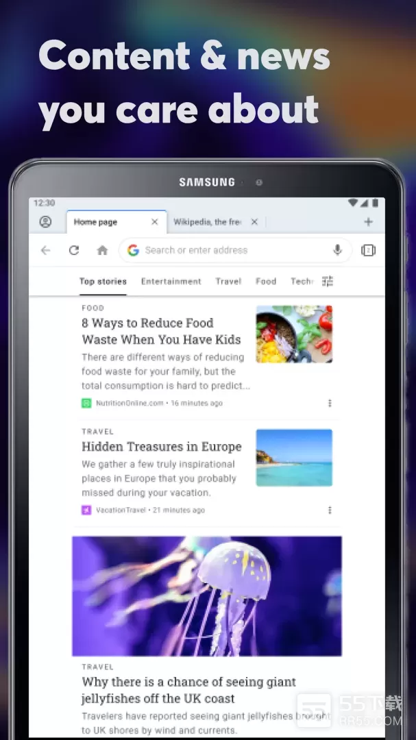 Opera browser18