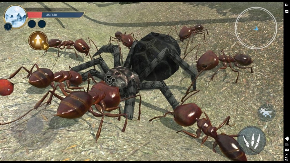 蚂蚁生存日记3