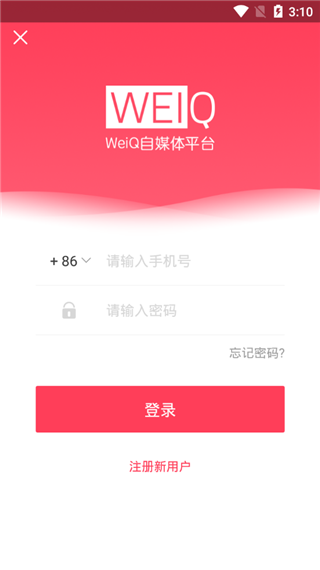 WeiQ自媒体4