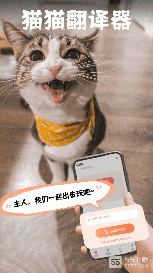 猫翻译0