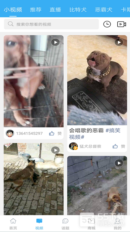 猛犬俱乐部1